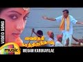 Megam Karukkaiyile Video Song Vaidehi Kathirunthal Tamil Movie Vijayakanth Revathi Ilayaraja