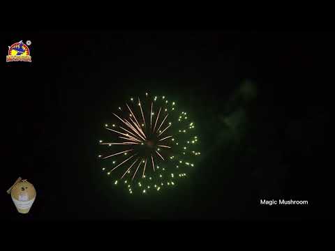5inch Magic Mushroom Display Shell Fireworks #fireworkstesting #fyp