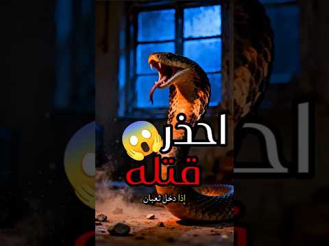 احذر من قتل هذا الحيوان!!😱   #shorts #معلومات #معلومات_دينية #ثعبان