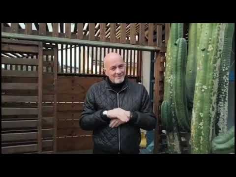 Video de la propiedad