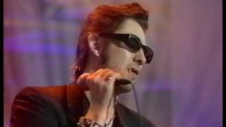 Shane McGowan &amp; The Popes &quot;That Woman&#39;s got me drinking&quot;