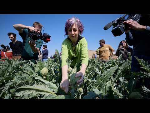 Navarra impulsa el turismo gastronómico con un evento centrado en la alcachofa de Tudela