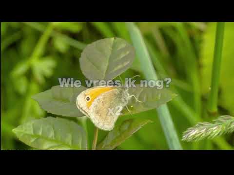 Opwekking 760 Wie vrees ik nog