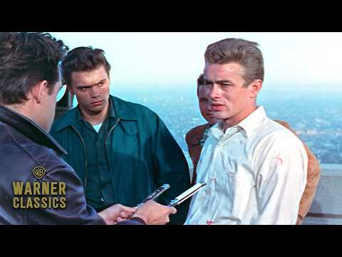 Thumbnail of the video: Knife Fight at Griffith Observatory