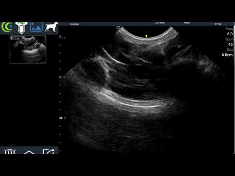 Integra - Core Imaging video thumbnail