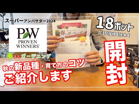 園芸 ワラビシダ、オオシダ