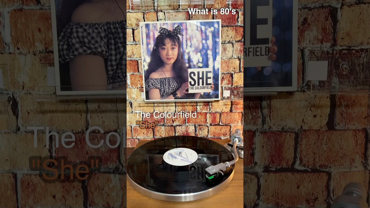 The Colourfield "She" #shorts #80年代洋楽 #80smusic #vinyls #レコード #洋楽 #recordcollection