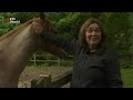 Dierenkliniek - do 4 jun 2020, 12.10 uur | RTV Utrecht