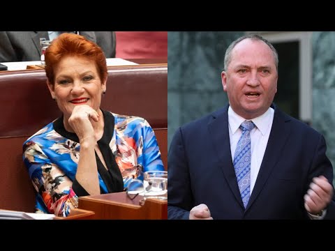 ‘She is the most authentic’: Barnaby Joyce on Pauline Hanson’s polling results