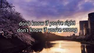 Taxi Dancing  -  Rick Springfield and Randy Crawford / Lyrics