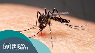 Friday Favorites: Do Garlic, Beer, Bananas, and B Vitamins Really Repel Mosquitoes?