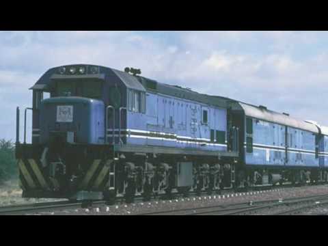 Selection Train,Culture