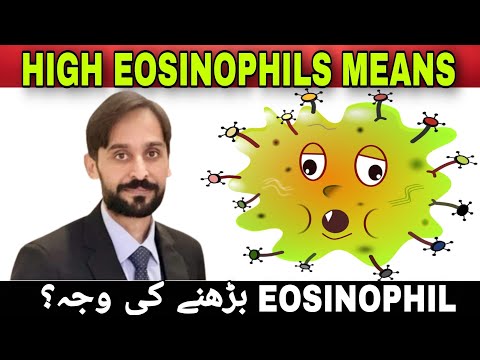 Eosinophils High in Blood Test Means