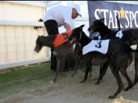 2017 DERBY PLATE - 2ND SEMI - T5 GRACES BLUEBOY
