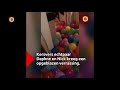 Daphne en Nick vinden 4000 ballonnen na huwelijksreis
