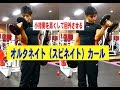 オルタネイト(スピネイト)カール【糸井トレーナー】