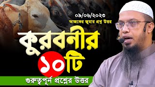 Answers to 10 important questions about Qurbani