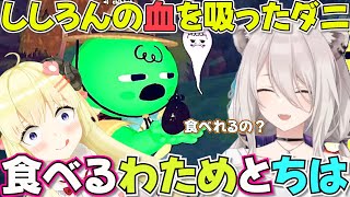 【PEAK 】初めてなのに山を先導し山頂に導くししろん【ホロライブ獅白ぼたん切り抜き】