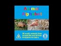 Animal Alphabet 2003 UK DVD
