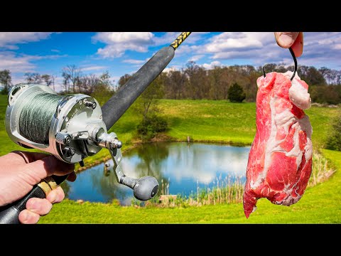 PORK STEAK for Bait = MONSTER Fish!!! (New PB x2!)