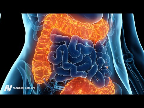Fecal Transplants for Ulcerative Colitis, MS, Depression, Bipolar, and Alcoholism