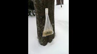 preview picture of video 'Homestead Made Maple sap sack holder'