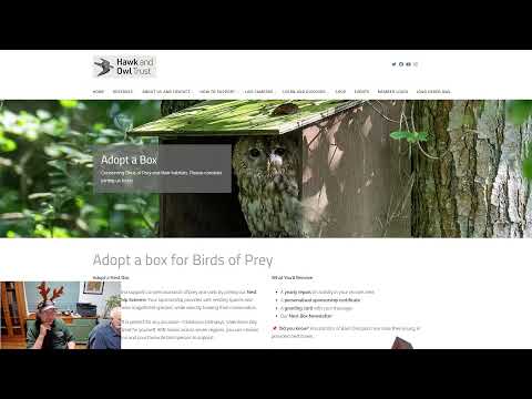 Christmas Live Stream with Chris Sperring of the Hawk & Owl Trust