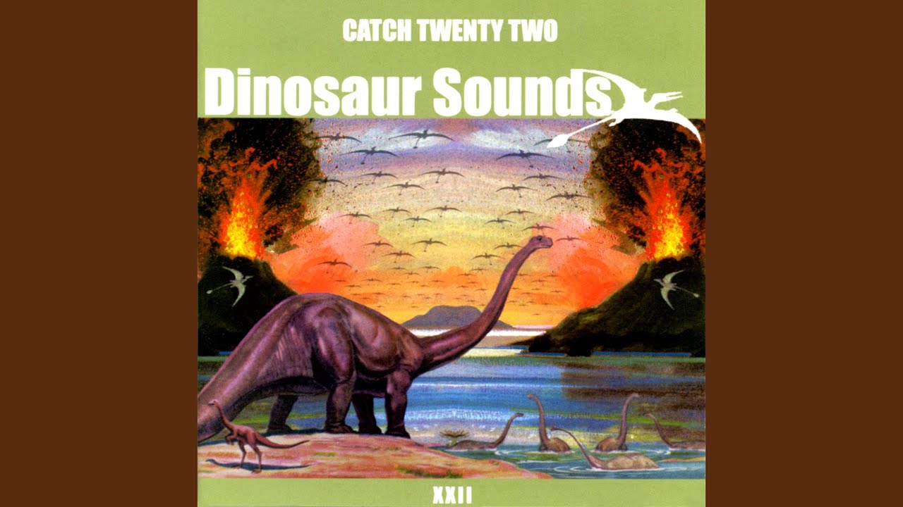 Catch 22 - Chin Up
