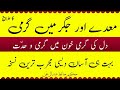 Medy Me Garmi Jigar Me Garmi Khoon Me Garmi Ghabrahat Ka Ilaj Herbalhospital56