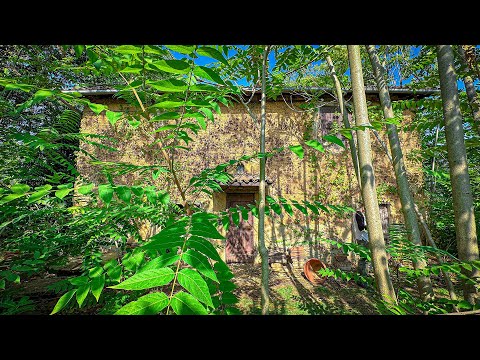 WE FIND A TREASURE HIDDEN INSIDE THE ABANDONED HOUSE IN THE DESTINATION