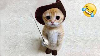 Funniest Cats and Dogs Videos 2025😼🐶Try Not To Laugh😜
