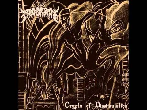 Fragarak - Cryptic Convulsion [India] [HD] (+Lyrics)
