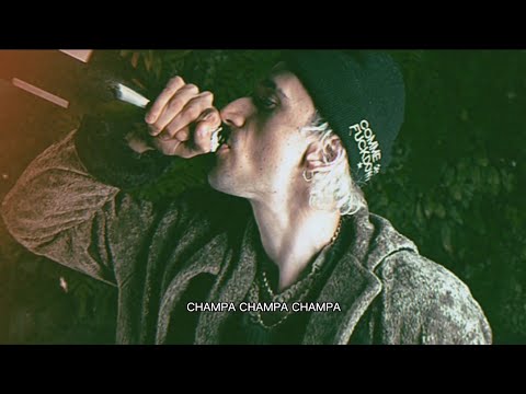 Caio Asa - CHAMPA 🍾🦅