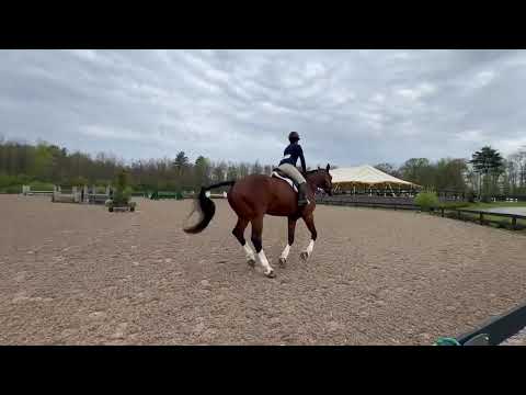 Dollar Del Colle video 2
