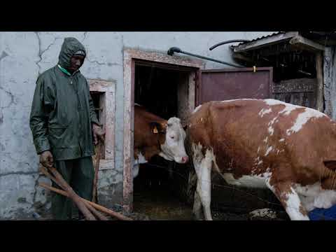 download lagu mp3 mp4 Gaiga, download lagu Gaiga gratis, unduh video klip Gaiga