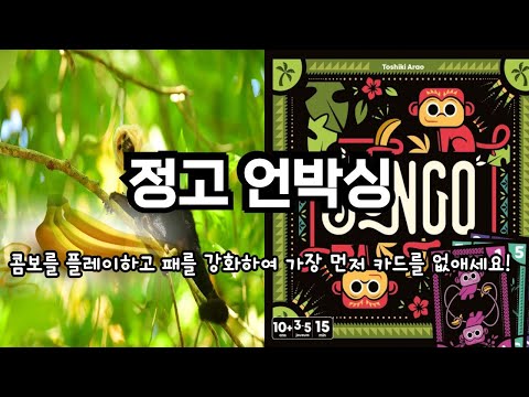 정고 언박싱