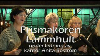 preview picture of video 'Ansikte mot ansikte'