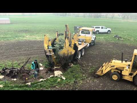 Planting a 15’ spruce tree in a couple minutes