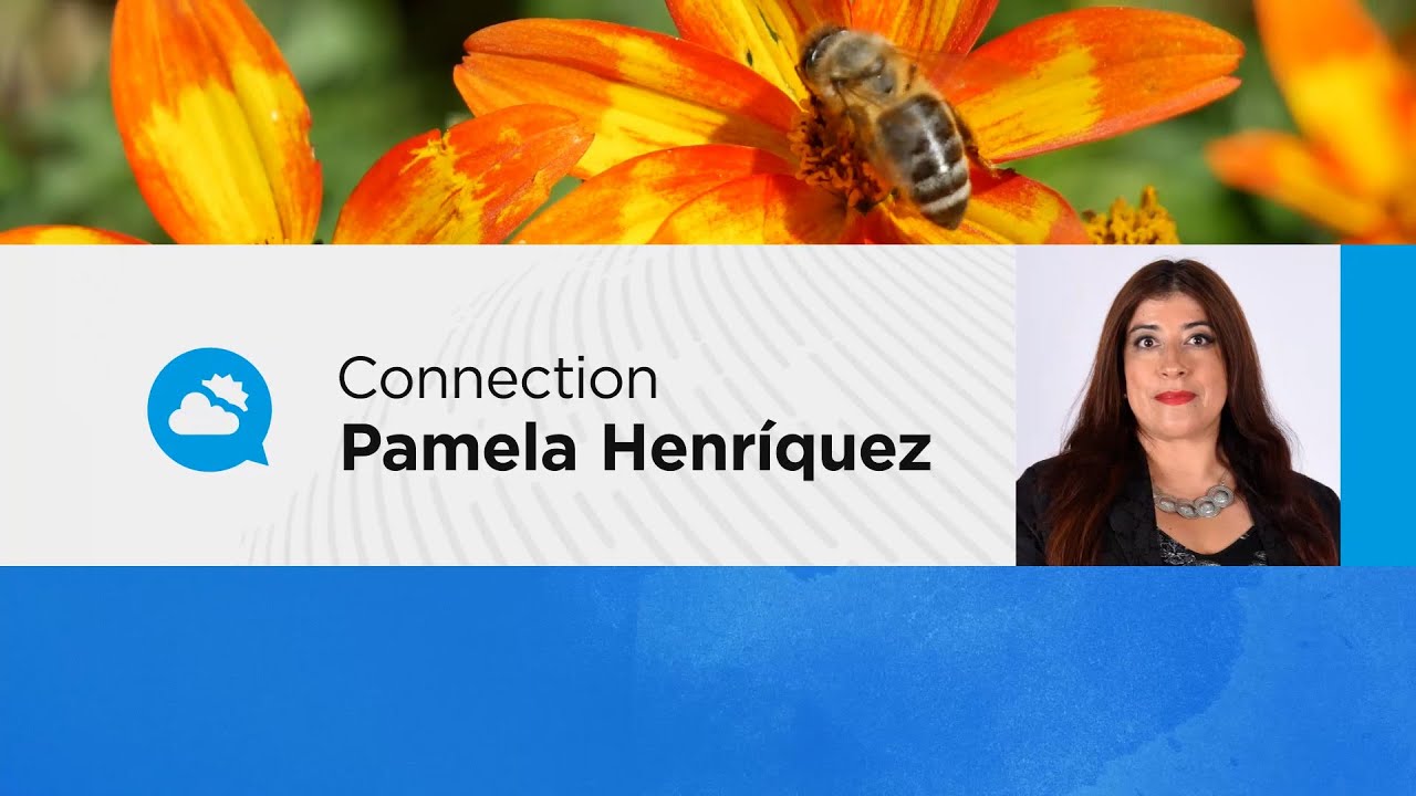 youtube video id=uRxKpPYQR7Q