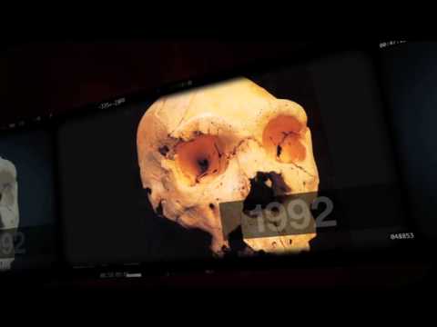 Nature Journal archive promotional animation