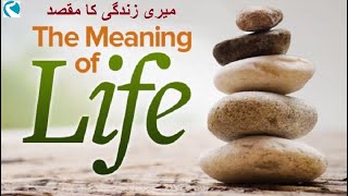 The Meaning of Life
