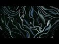 Keaton Henson - Sweetheart, What Have You Done ...