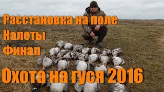 ОХОТА НА ГУСЯ. Расстановка на поле. Налеты. Финал