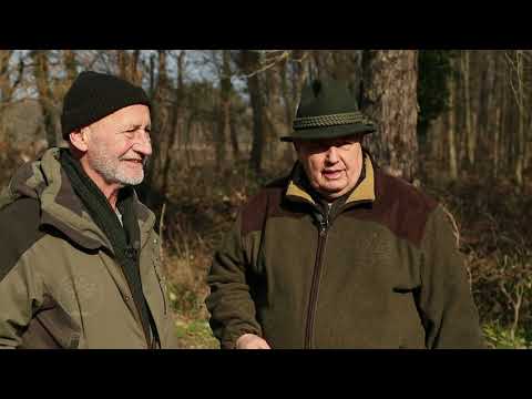 Reviczkyvel az Erdőben – II. évad – 11/12. epizód – Kaszó Kupa - verseny a javából