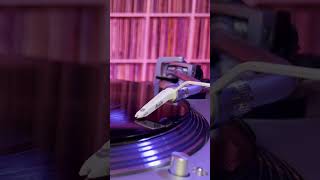 Fatboy Slim ft  Macy Gray   Demons 2000 Stanton Warriors Vocal Remix   YT shorts