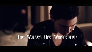 Bang Gang - The Wolves Are Whispering - Trailer