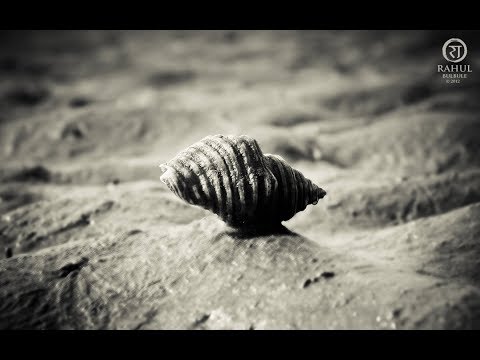 Noire Antidote x Ecstasphere - Counterparts