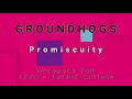 GROUNDHOGS-Promiscuity (vinyl)