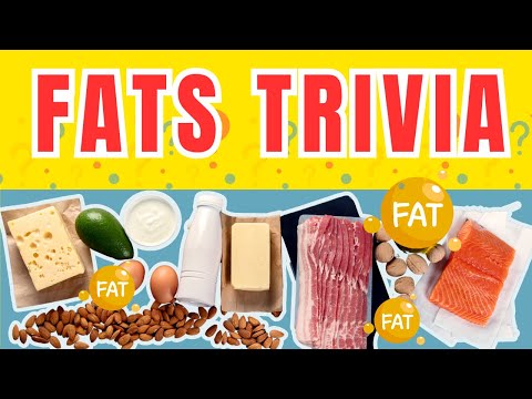 Fantastic Fats - Fun Facts About Fat for Kids!