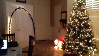 Joy to The World by Bob Rivers